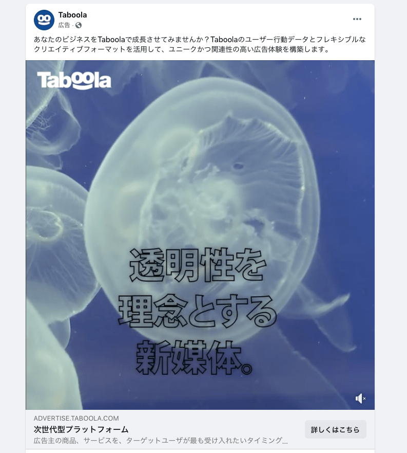 フェイスブックの広告