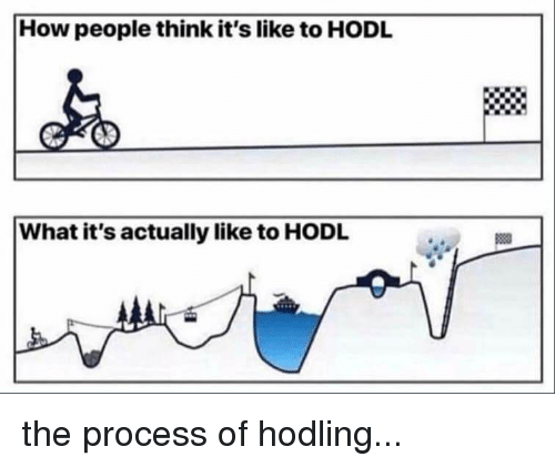 how people think its like to hodl